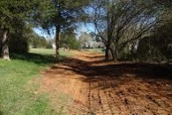 Drainage ditch & grading